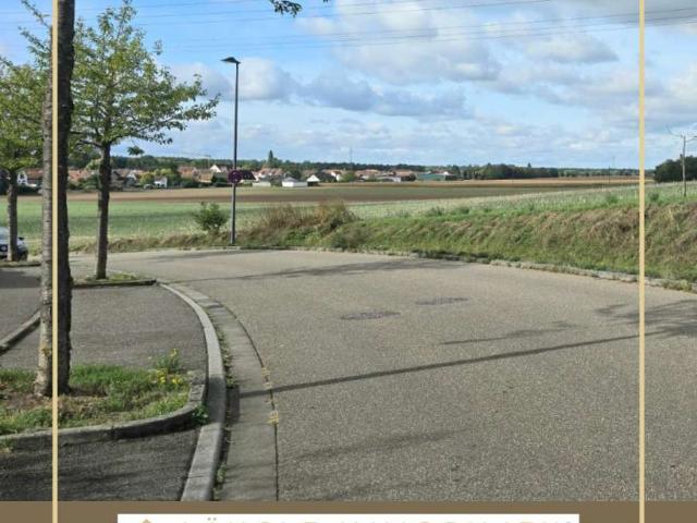 Wohnung kaufen in Kandel, Landkreis Germersheim