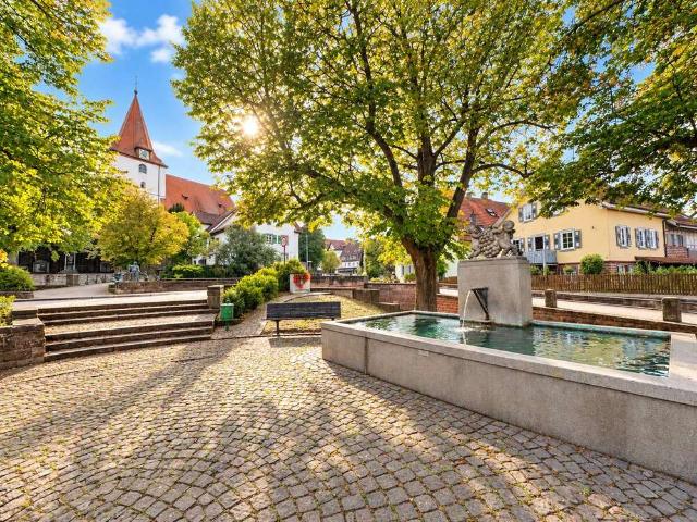 Wohnung kaufen in Ellmendingen