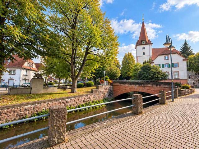 Wohnung kaufen in Ellmendingen