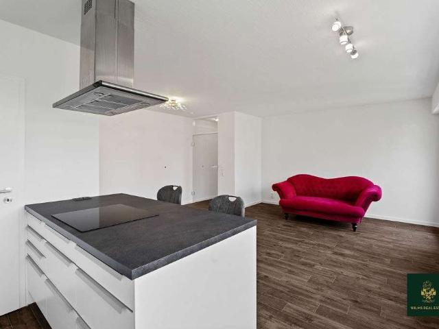 Wohnung kaufen in Altstadt-Nord, Köln