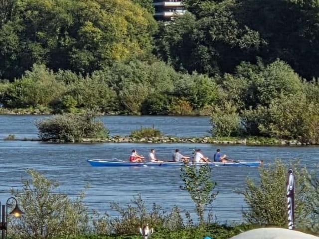 Wohnung kaufen in Rodenkirchen, Köln