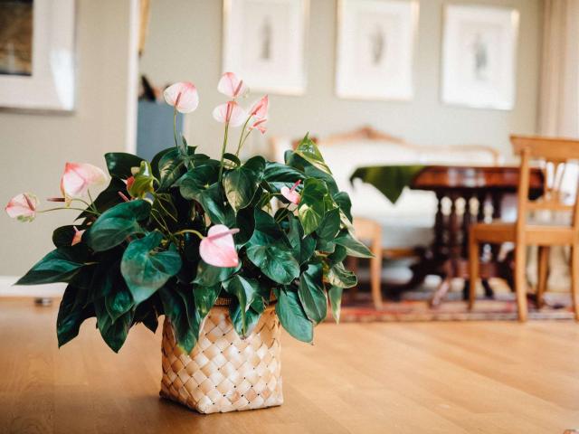 Wohnung kaufen in Lindenthal, Köln