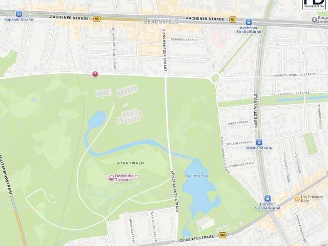 Wohnung kaufen in Lindenthal, Köln
