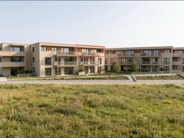 Wohnung kaufen in Langenau, Baden-Württemberg