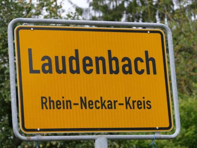 Wohnung kaufen in Laudenbach, Baden-Württemberg