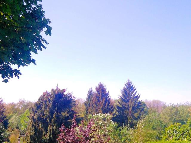 Wohnung kaufen in Möckern, Leipzig