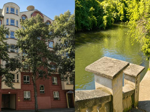 Wohnung kaufen in Böhlitz-Ehrenberg, Leipzig