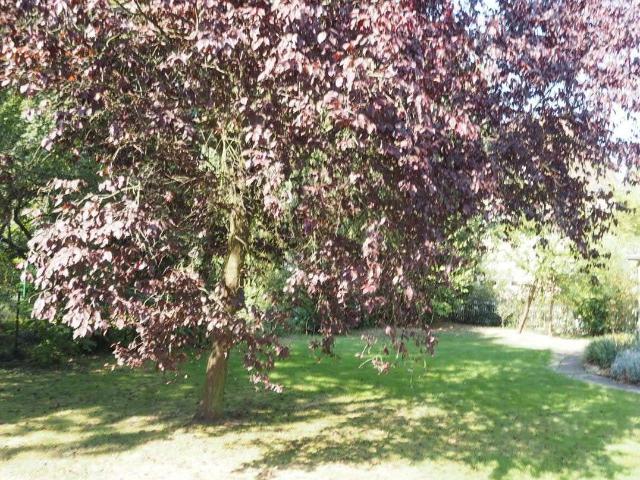 Wohnung kaufen in Wiesdorf, Leverkusen