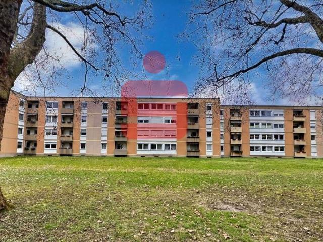 Wohnung kaufen in Ludwigshafen-Oppau, Ludwigshafen