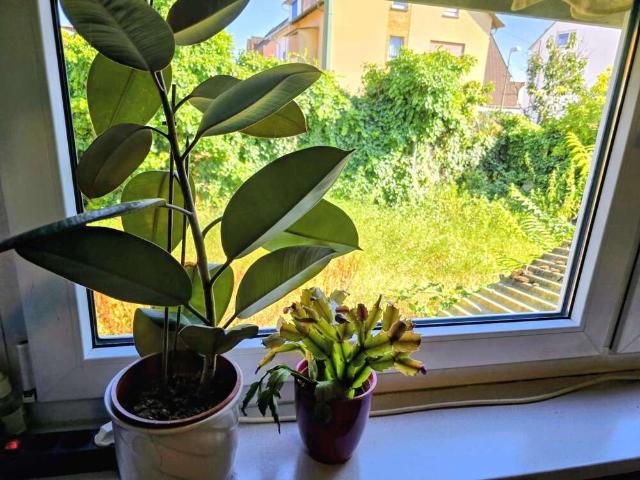 Wohnung kaufen in Ludwigshafen-Oggersheim, Ludwigshafen
