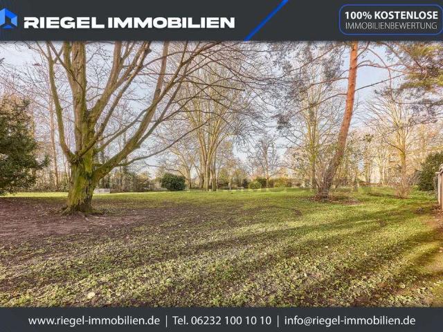 Wohnung kaufen in Neckarstadt-Ost, Mannheim