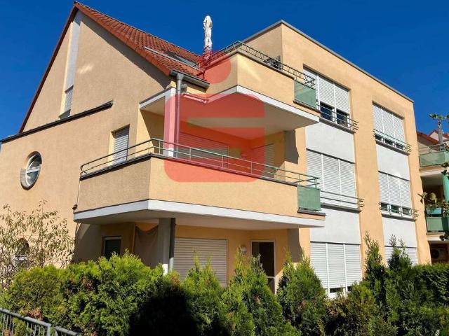 Wohnung kaufen in Maxdorf, Rheinland-Pfalz