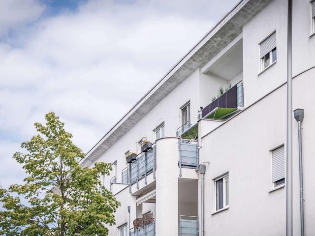Wohnung kaufen in Walldorf, Kreis Groß-Gerau