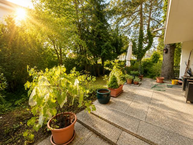 Wohnung kaufen in Thalkirchen-Obersendling-Forstenried-Fürstenried-Solln, München