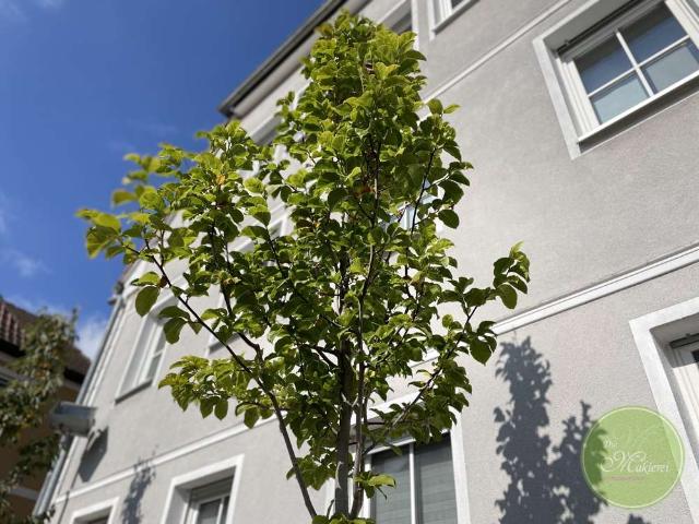 Wohnung kaufen in Neustadt, Bayern