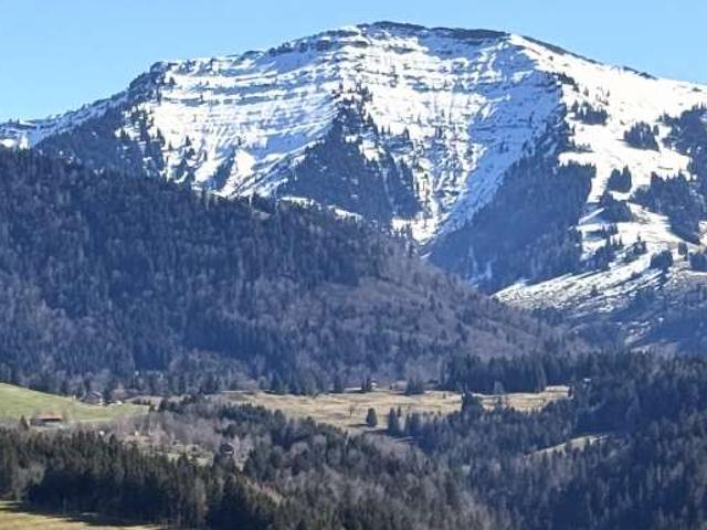 Wohnung kaufen in Oberstaufen, Bayern