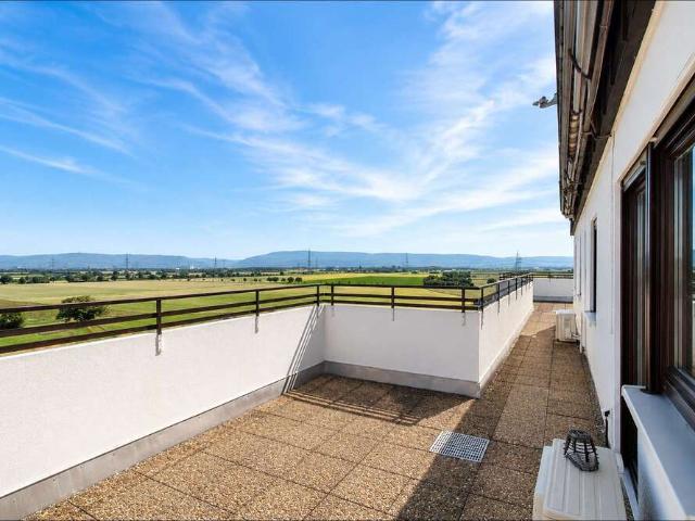 Wohnung kaufen in Oftersheim, Baden-Württemberg