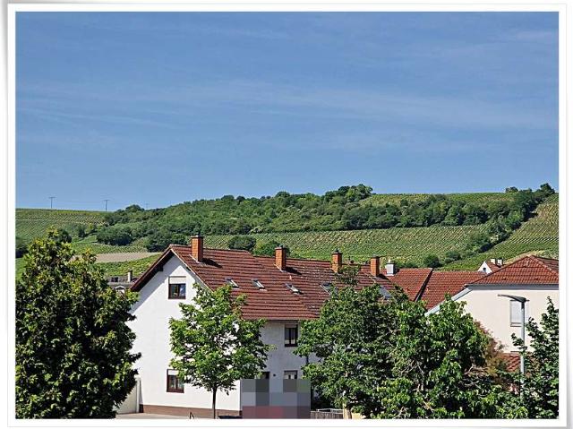 Wohnung kaufen in Oppenheim, Rheinland-Pfalz