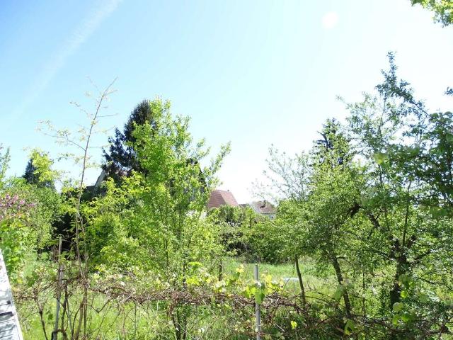 Wohnung kaufen in Plankstadt, Rhein-Neckar-Kreis