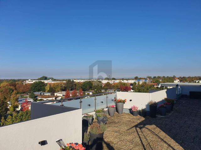 Wohnung kaufen in Augustavorstadt, Rastatt