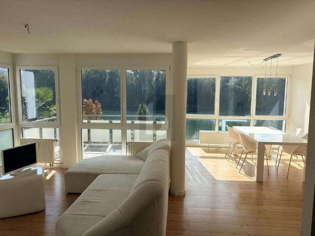 Wohnung kaufen in Nollingen, Rheinfelden (Baden)