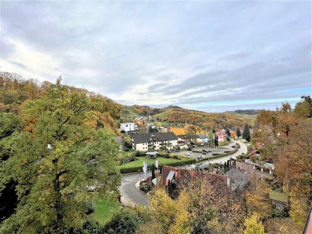 Wohnung kaufen in Sasbachwalden, Baden-Württemberg