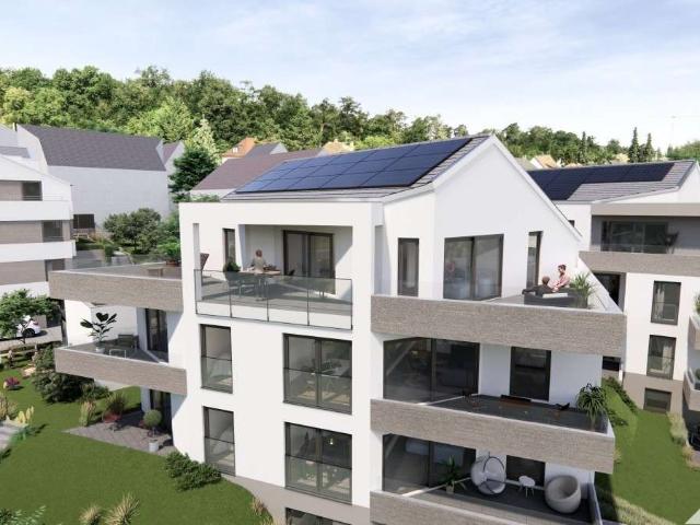 Wohnung kaufen in Vaihingen-Mitte, Stuttgart