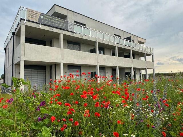 Wohnung kaufen in Uffenheim, Bayern