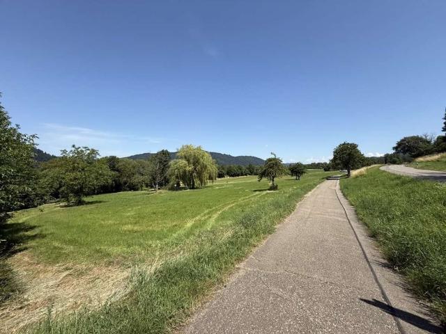 Wohnung kaufen in Waldkirch, Baden-Württemberg