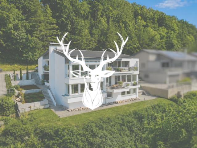 Wohnung kaufen in Waldshut-Tiengen, Baden-Württemberg