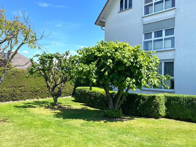 Apartment mieten in Wölfersheim