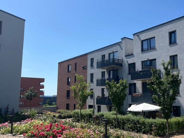 Apartment mieten in Mittelfeld, Hannover