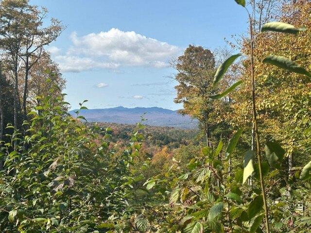 Land for sale in Wolcott, Vermont