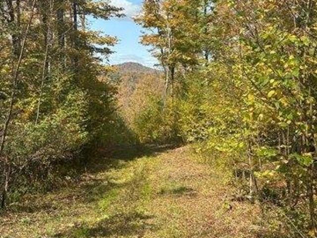 Land for sale in Wolcott, Vermont