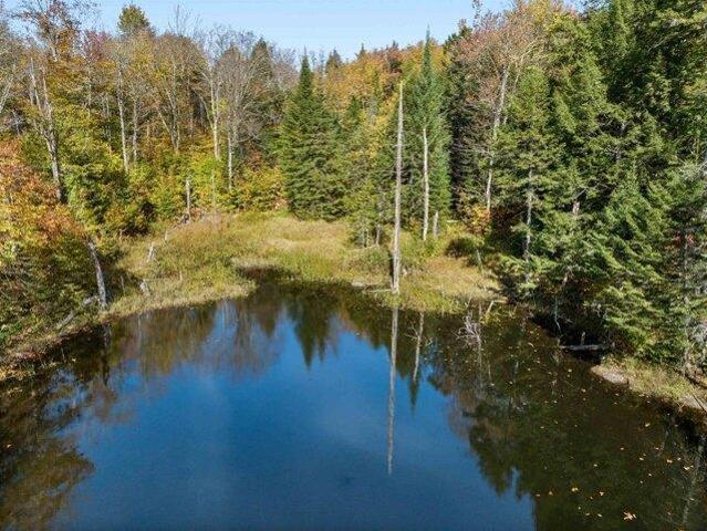 Land for sale in Wolcott, Vermont