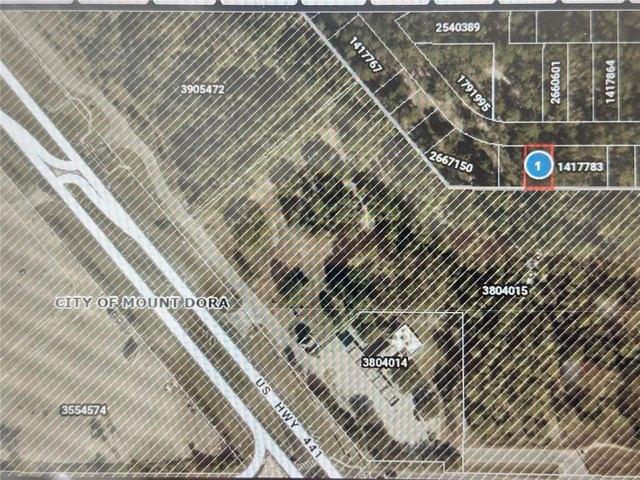 Land for sale in Mount Dora, Florida
