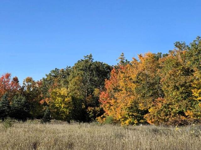 Land for sale in Hubbard Lake, Michigan