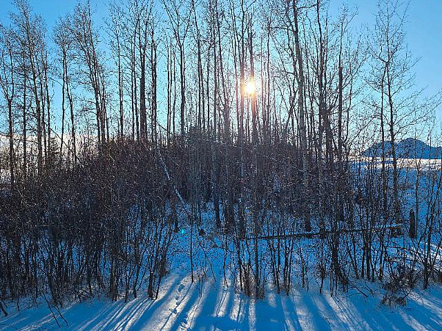 Land for sale in Alberta