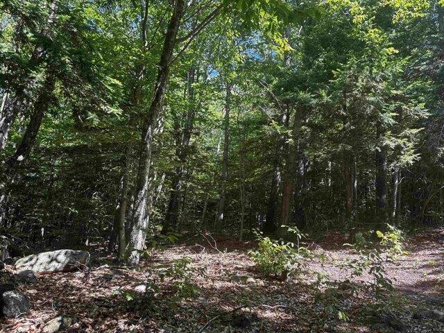 Land for sale in New Hampshire
