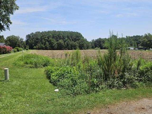 Land for sale in Saint Stephen, South Carolina