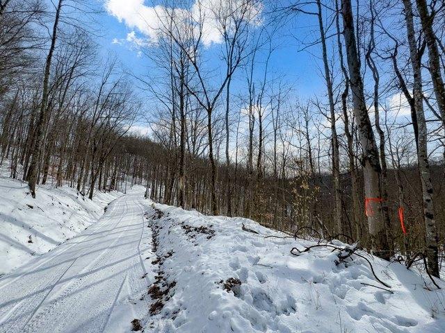 Land for sale in West Virginia