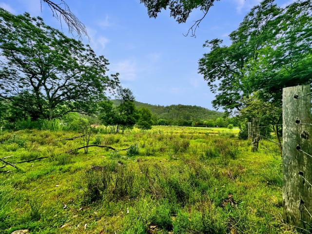 Property for sale in New South Wales
