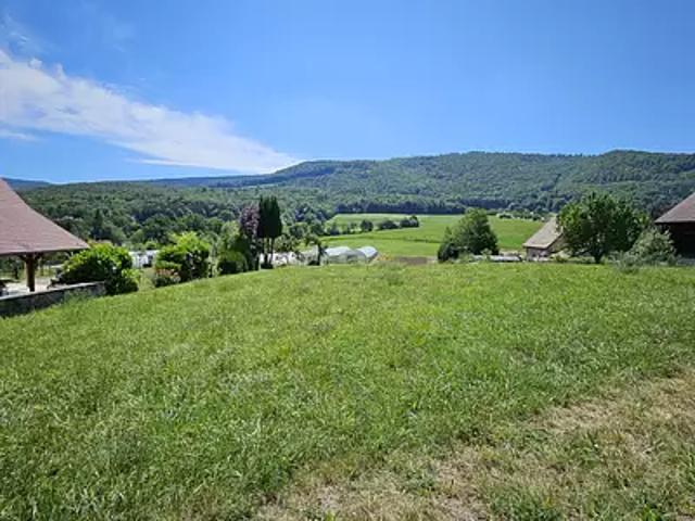 Terrain vente à Wolschwiller, Collectivité européenne d'Alsace