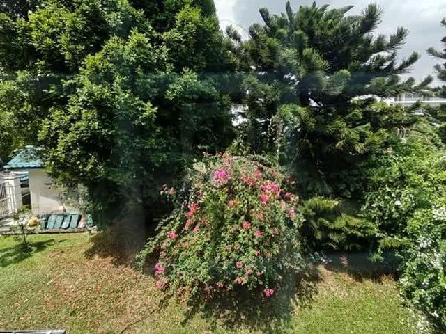 Apartment for rent