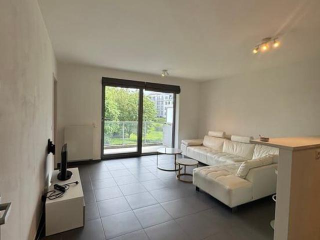 Kot location à Sint-lambrechts-woluwe, Bruxelles