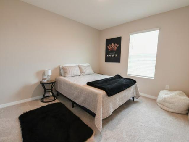 Room for rent in Tampa, Florida