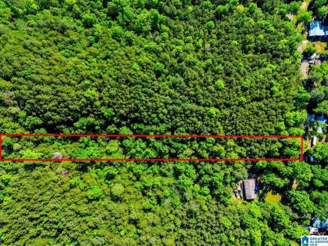 Land for sale in Parrish, Alabama