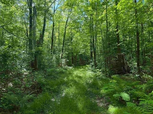 Land for sale in Phillips, Wisconsin