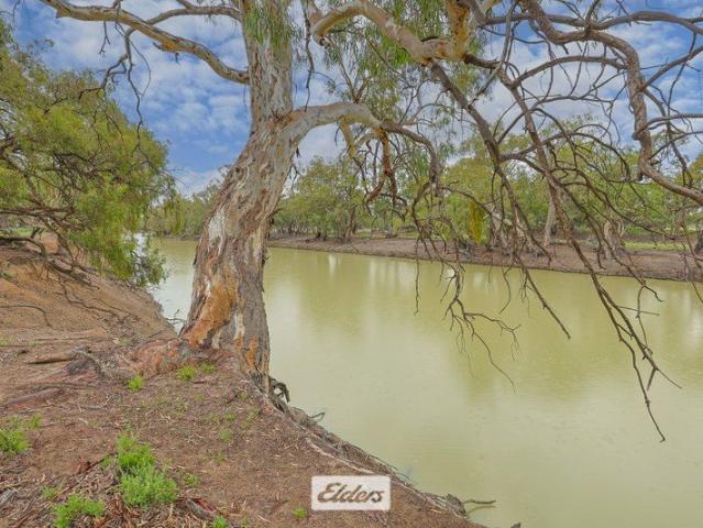 Cottage for sale in Wentworth, New South Wales