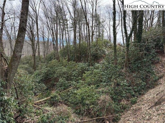 Land for sale in Watauga, North Carolina